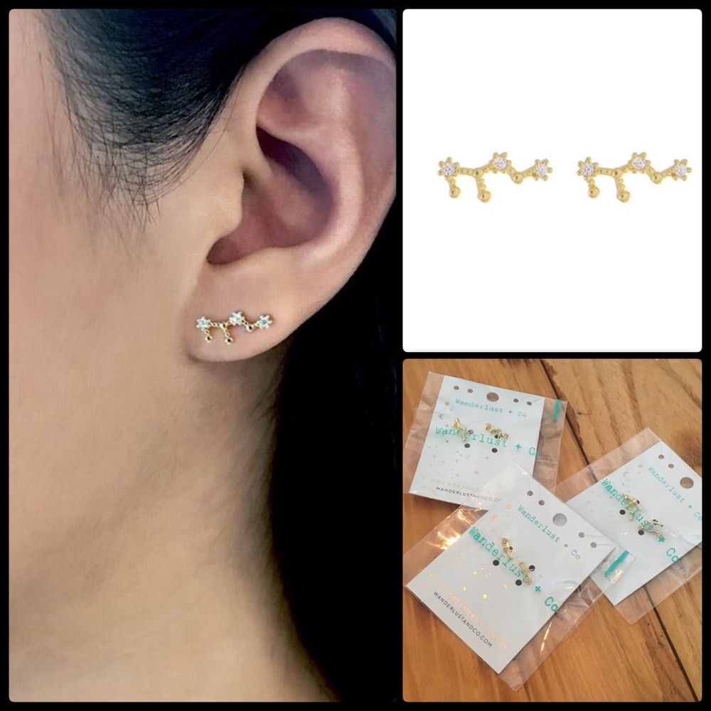 WANDERLUST + CO ✨ Zodiac Studs NWT
